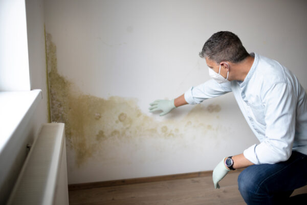 mold inspection.